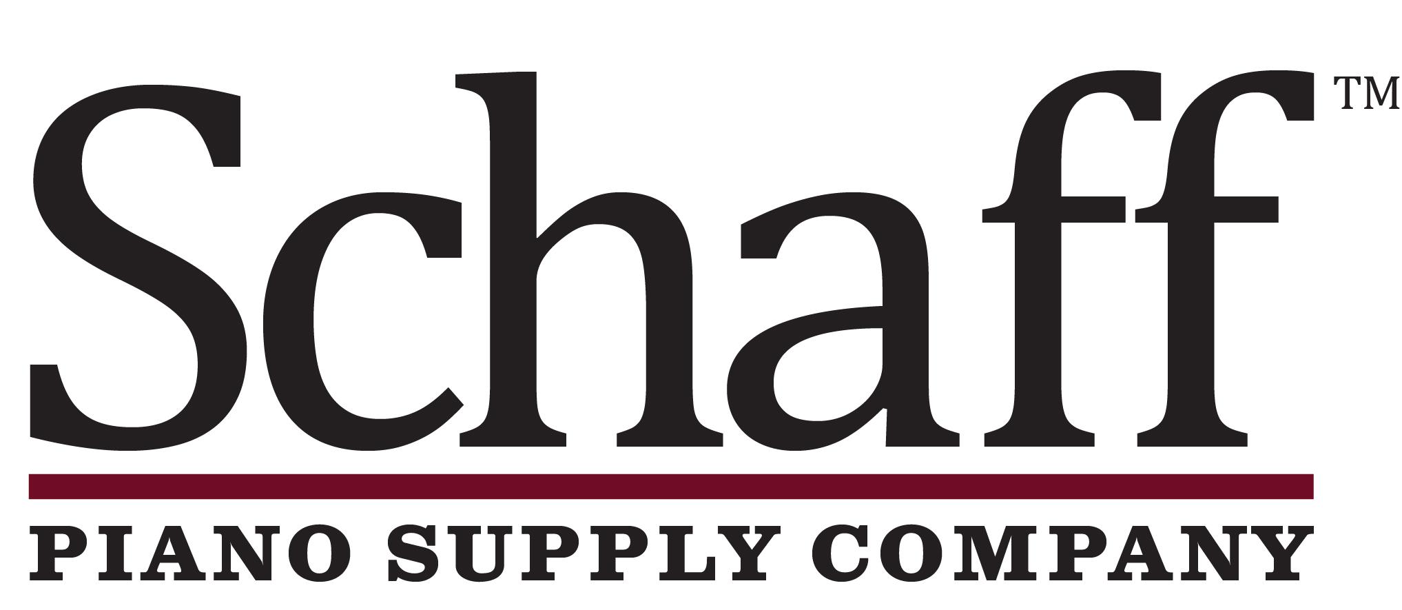 Tuning Pin/Coil Cleaner